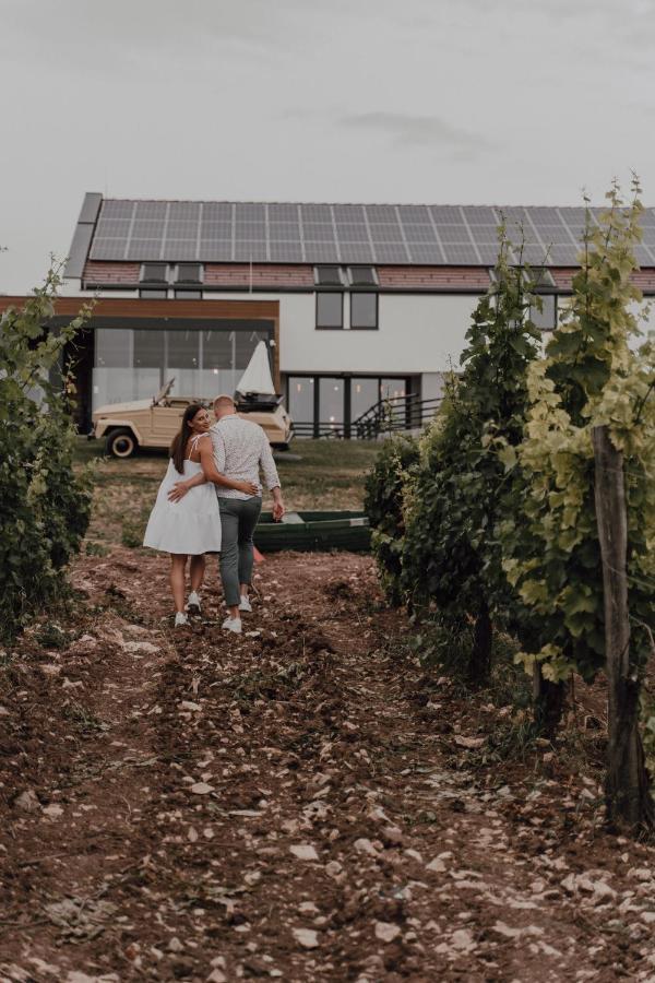 Dobosi Birtokkoezpont Bed & Breakfast Szentantalfa Luaran gambar